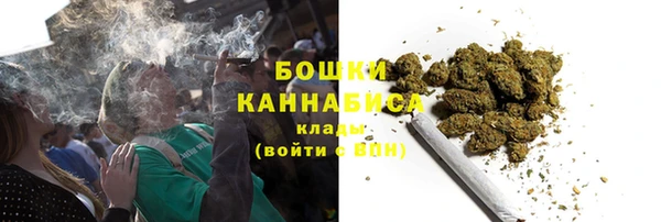 apvp Богданович