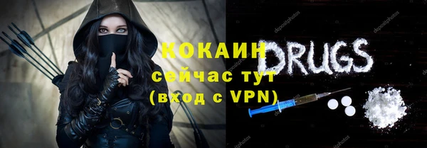 спиды Богородск