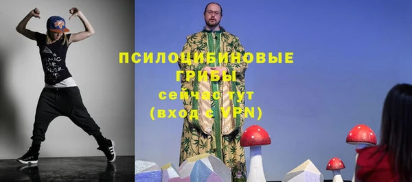 спиды Богородск
