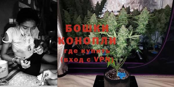 спиды Богородск