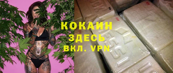 apvp Богданович