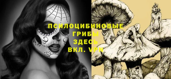 apvp Богданович