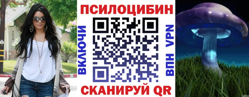 Галлюциногенные грибы Cubensis сколько стоит Волосово