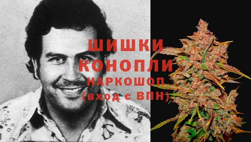 МЕГА как зайти  Волосово  Шишки марихуана Ganja  где купить наркотик 